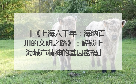 《上海六千年：海纳百川的文明之路》：解锁上海城市精神的基因密码