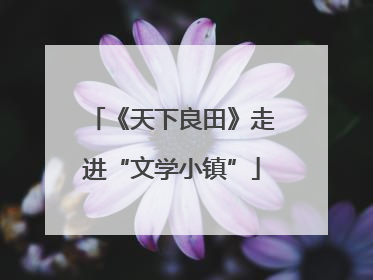 《天下良田》走进“文学小镇”