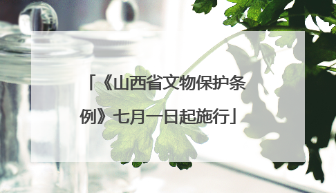 《山西省文物保护条例》七月一日起施行