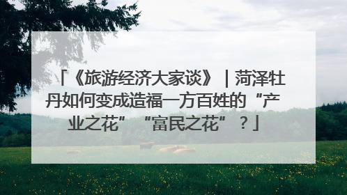 《旅游经济大家谈》｜菏泽牡丹如何变成造福一方百姓的“产业之花”“富民之花”？