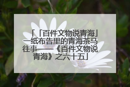 「百件文物说青海」一纸布告里的青海茶马往事——《百件文物说青海》之六十五