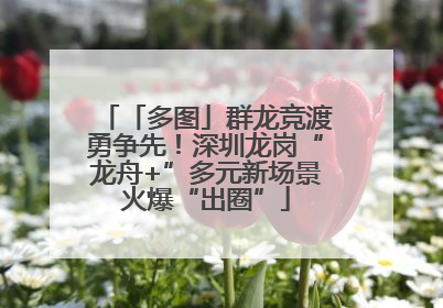 「多图」群龙竞渡勇争先！深圳龙岗“龙舟+”多元新场景火爆“出圈”