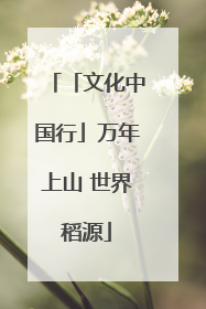 「文化中国行」万年上山 世界稻源