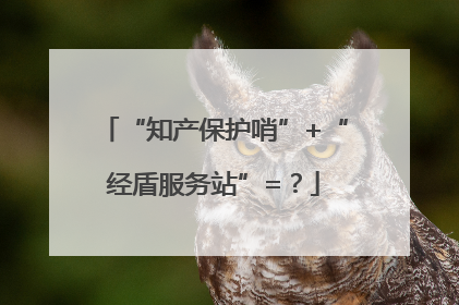 “知产保护哨”+“经盾服务站”=？