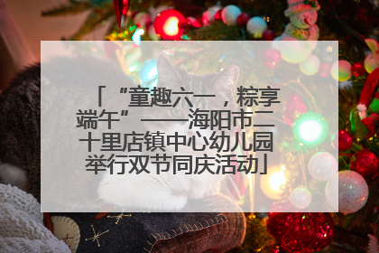 “童趣六一，粽享端午”——海阳市二十里店镇中心幼儿园举行双节同庆活动