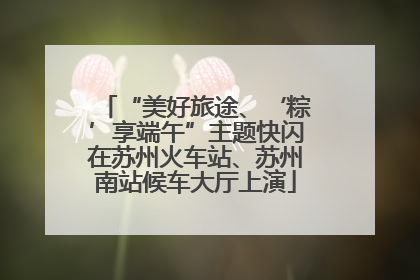 “美好旅途、‘粽’享端午”主题快闪在苏州火车站、苏州南站候车大厅上演