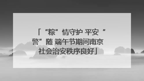 “粽”情守护 平安“警”随 端午节期间南京社会治安秩序良好