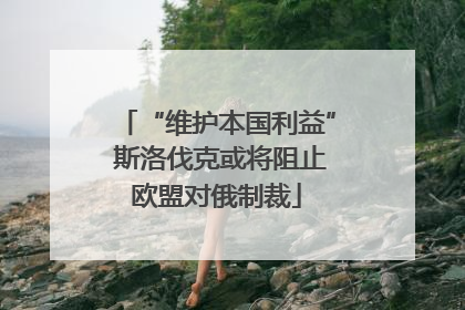 “维护本国利益” 斯洛伐克或将阻止欧盟对俄制裁