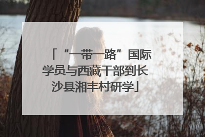 “一带一路”国际学员与西藏干部到长沙县湘丰村研学