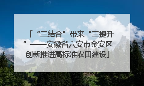 “三结合”带来“三提升”——安徽省六安市金安区创新推进高标准农田建设