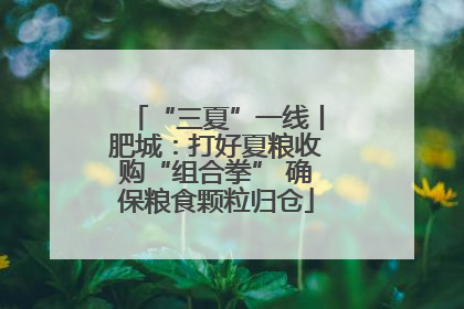 “三夏”一线丨肥城：打好夏粮收购“组合拳” 确保粮食颗粒归仓