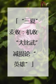 “三夏”麦收：机收“大比武” 减损论“英雄”