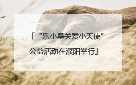 “乐小星关爱小天使”公益活动在濮阳举行