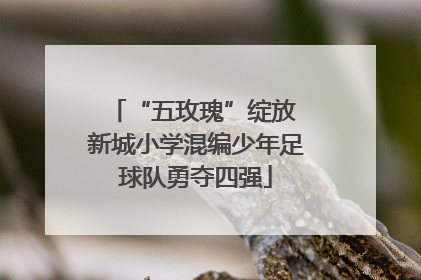 “五玫瑰”绽放 新城小学混编少年足球队勇夺四强