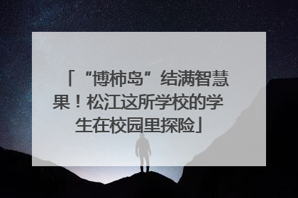 “博柿岛”结满智慧果！松江这所学校的学生在校园里探险
