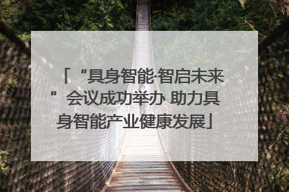 “具身智能·智启未来”会议成功举办 助力具身智能产业健康发展