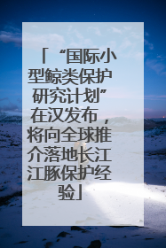 “国际小型鲸类保护研究计划”在汉发布，将向全球推介落地长江江豚保护经验