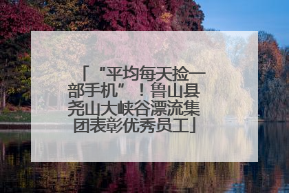 “平均每天捡一部手机”！鲁山县尧山大峡谷漂流集团表彰优秀员工