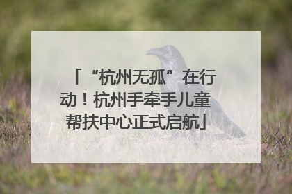 “杭州无孤”在行动！杭州手牵手儿童帮扶中心正式启航