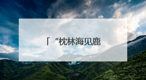 “枕林海见鹿踪” 伊春民宿打造沉浸式“森林疗愈”空间