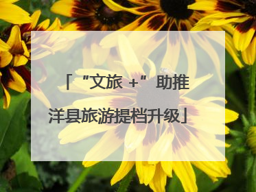 “文旅 +”助推洋县旅游提档升级