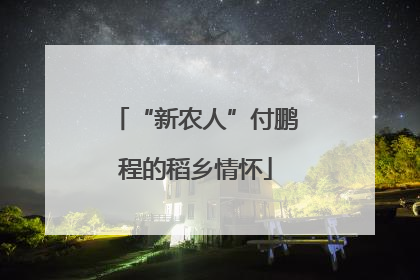 “新农人”付鹏程的稻乡情怀