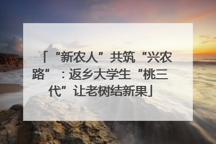 “新农人”共筑“兴农路”：返乡大学生“桃三代”让老树结新果
