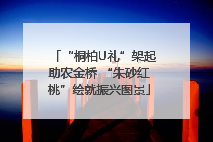 “桐柏U礼”架起助农金桥 “朱砂红桃”绘就振兴图景
