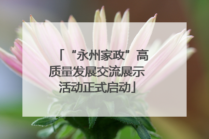 “永州家政”高质量发展交流展示活动正式启动