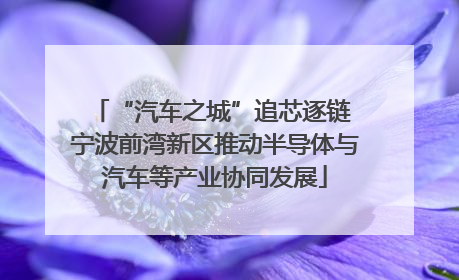 “汽车之城”追芯逐链 宁波前湾新区推动半导体与汽车等产业协同发展