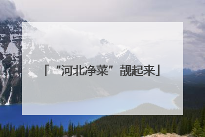 “河北净菜”靓起来