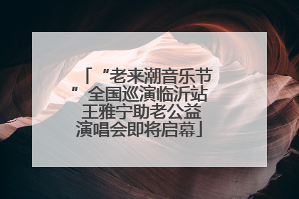 “老来潮音乐节”全国巡演临沂站 王雅宁助老公益演唱会即将启幕