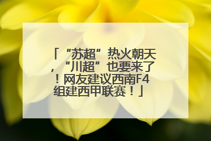 “苏超”热火朝天，“川超”也要来了！网友建议西南F4组建西甲联赛！