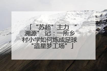 “苏超”主力 “溯源” 记：一所乡村小学如何炼成足球 “造星梦工场”
