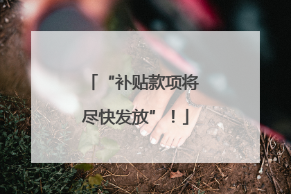 “补贴款项将尽快发放”！