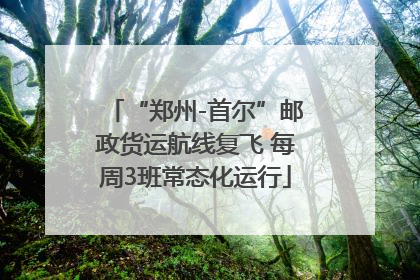 “郑州-首尔”邮政货运航线复飞 每周3班常态化运行