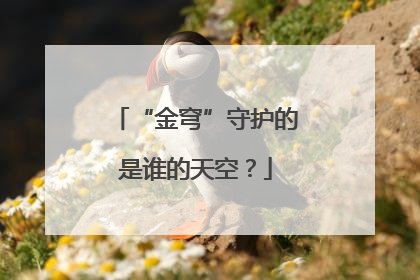 “金穹”守护的是谁的天空？