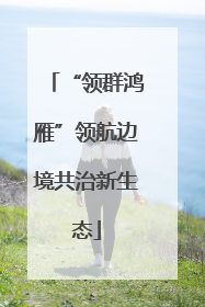“领群鸿雁”领航边境共治新生态