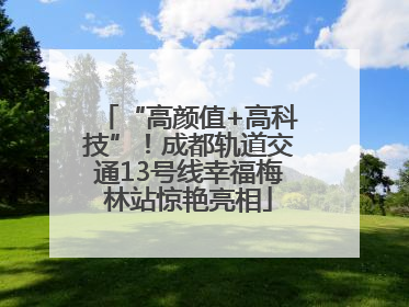 “高颜值+高科技”！成都轨道交通13号线幸福梅林站惊艳亮相