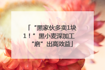 “黑家伙多卖1块1！”黑小麦深加工“磨”出高效益