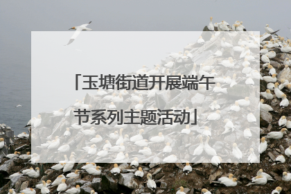玉塘街道开展端午节系列主题活动
