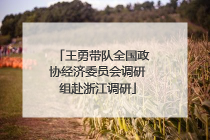 王勇带队全国政协经济委员会调研组赴浙江调研
