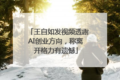 王自如发视频透露AI创业方向，称离开格力有遗憾