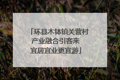 环县木钵镇关营村 产业融合引客来 宜居宜业更宜游