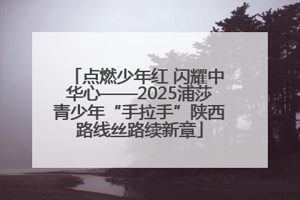 点燃少年红 闪耀中华心——2025浦莎青少年“手拉手”陕西路线丝路续新章