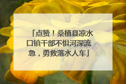 点赞！桑植县凉水口镇干部不惧河深流急，勇救落水人车