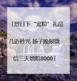 烈日下“宠粉”礼品几近秒光 扬子晚报微信三天增粉8000