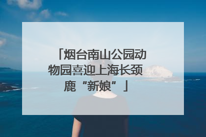 烟台南山公园动物园喜迎上海长颈鹿“新娘”