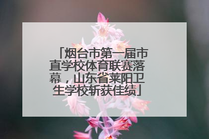 烟台市第一届市直学校体育联赛落幕，山东省莱阳卫生学校斩获佳绩