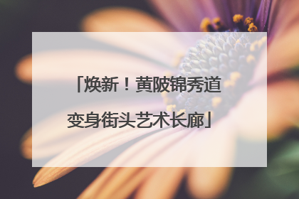 焕新！黄陂锦秀道变身街头艺术长廊